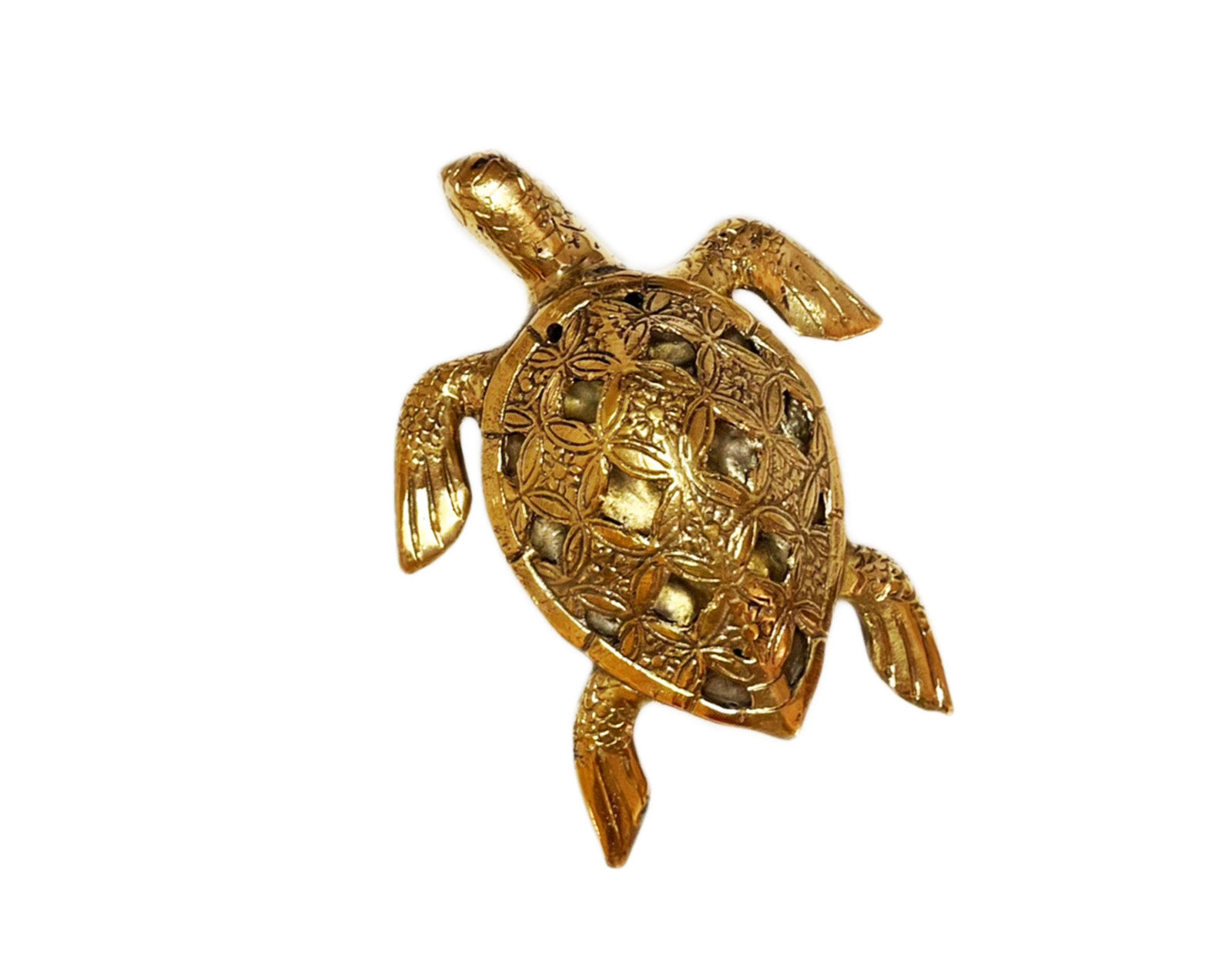Tortue Marine