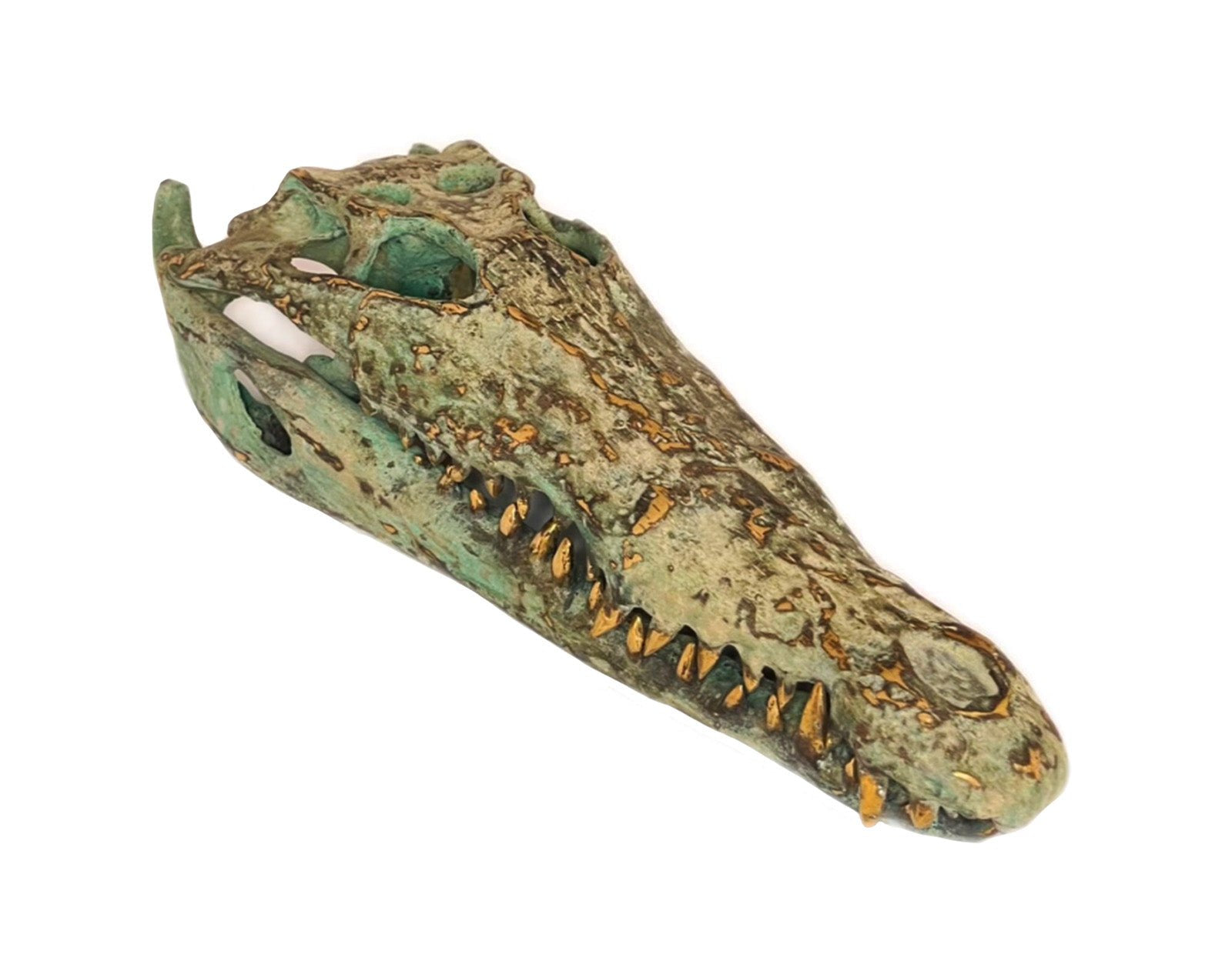 Tête de Crocodile