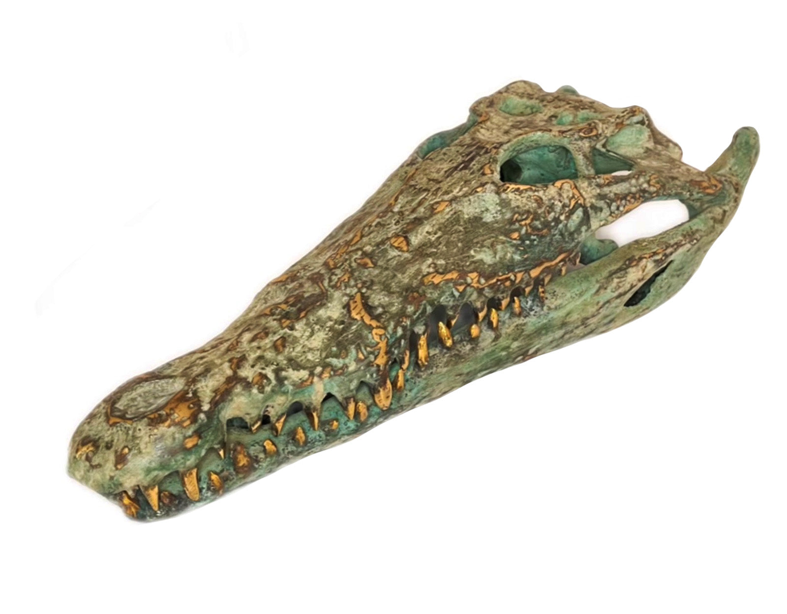 Tête de Crocodile