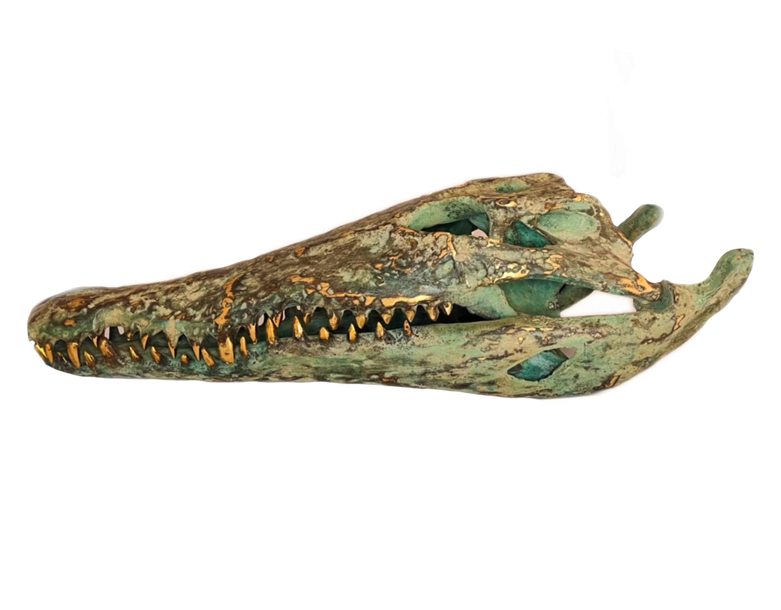 Tête de Crocodile