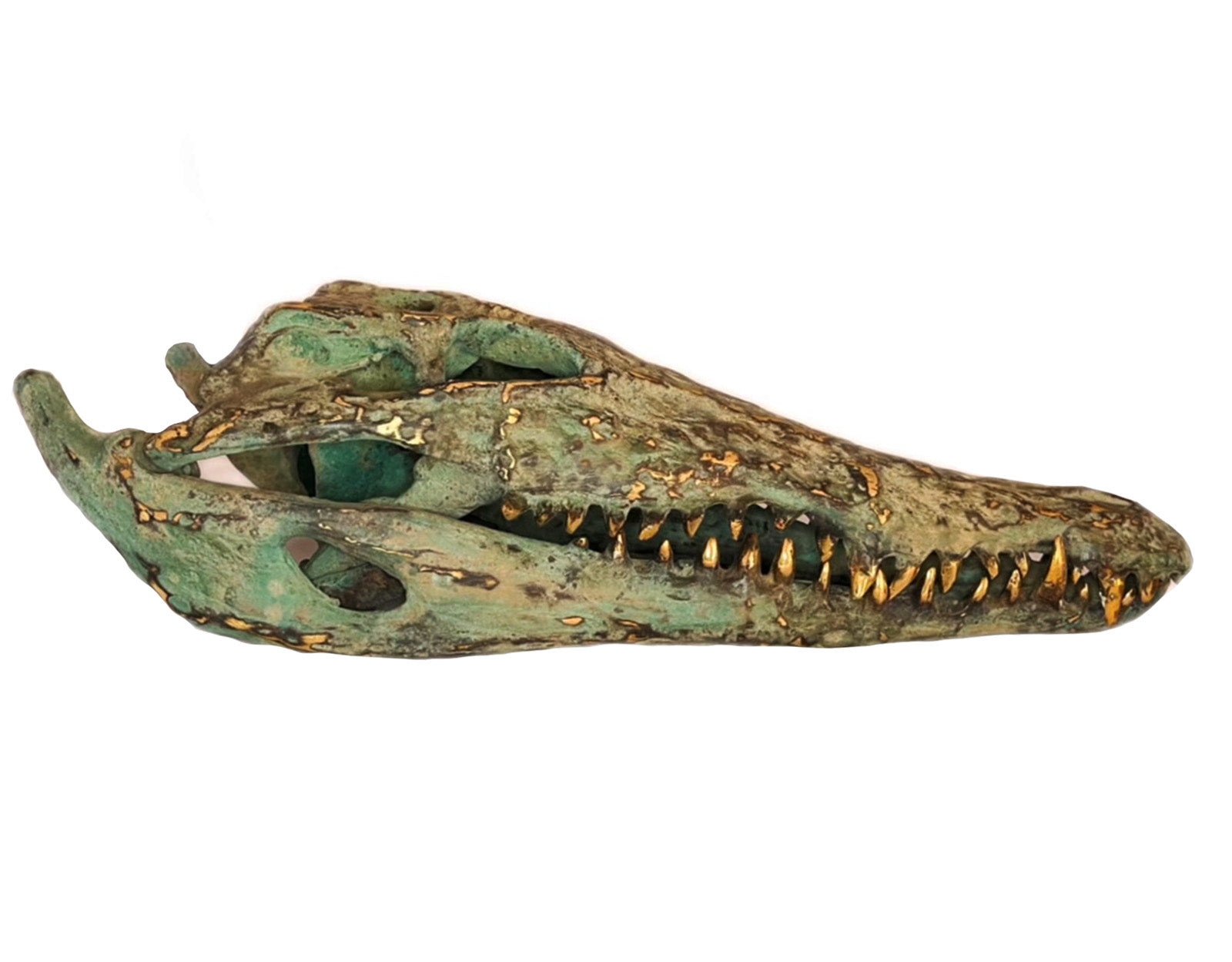Tête de Crocodile