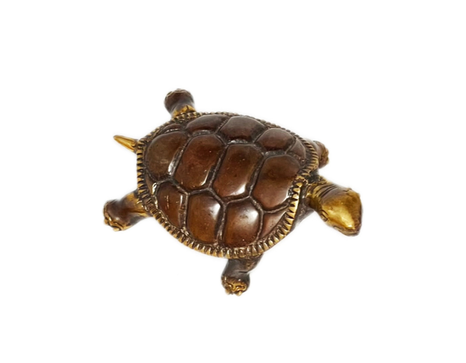 Tortue