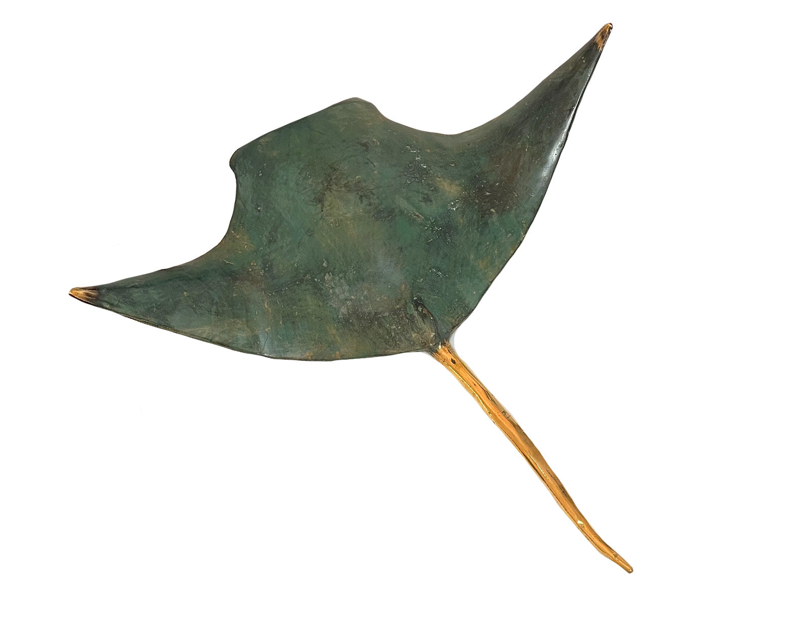 Raie Manta