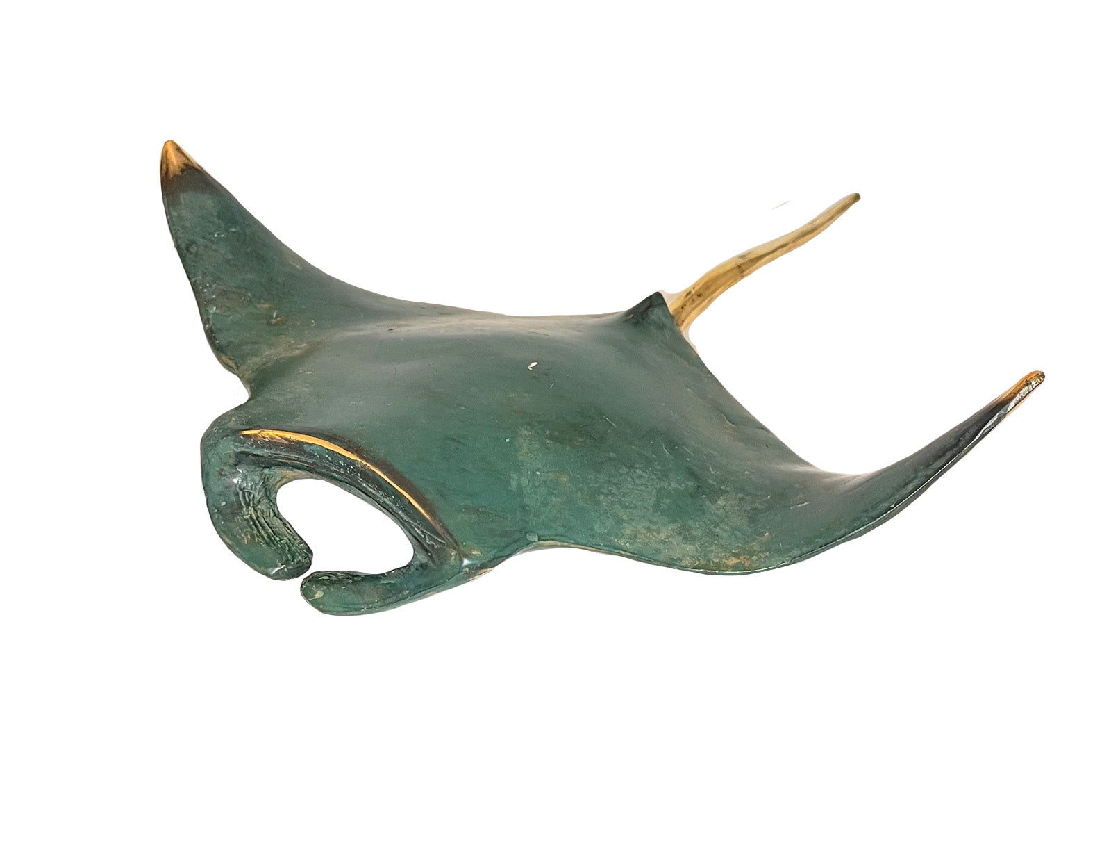 Raie Manta