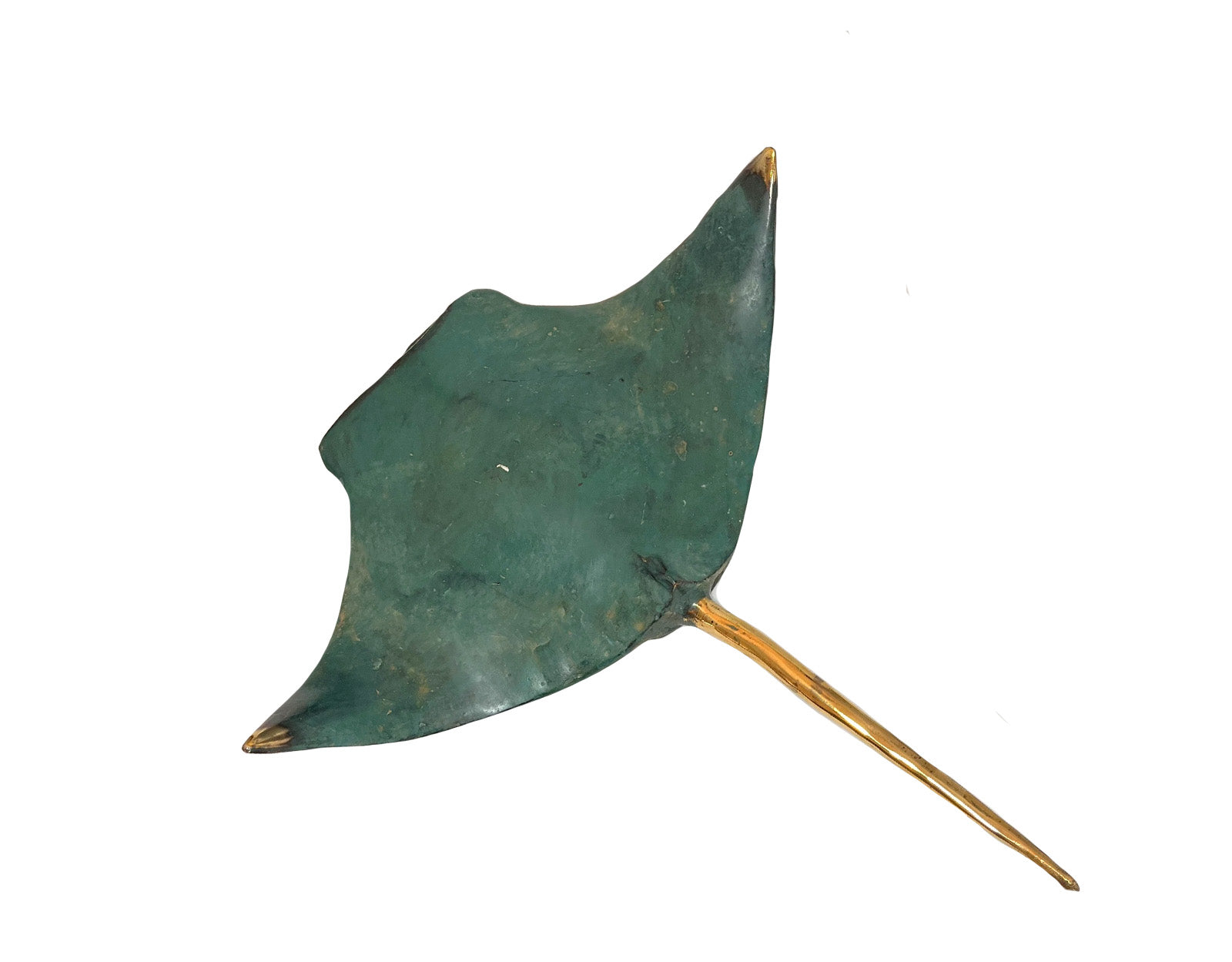 Raie Manta