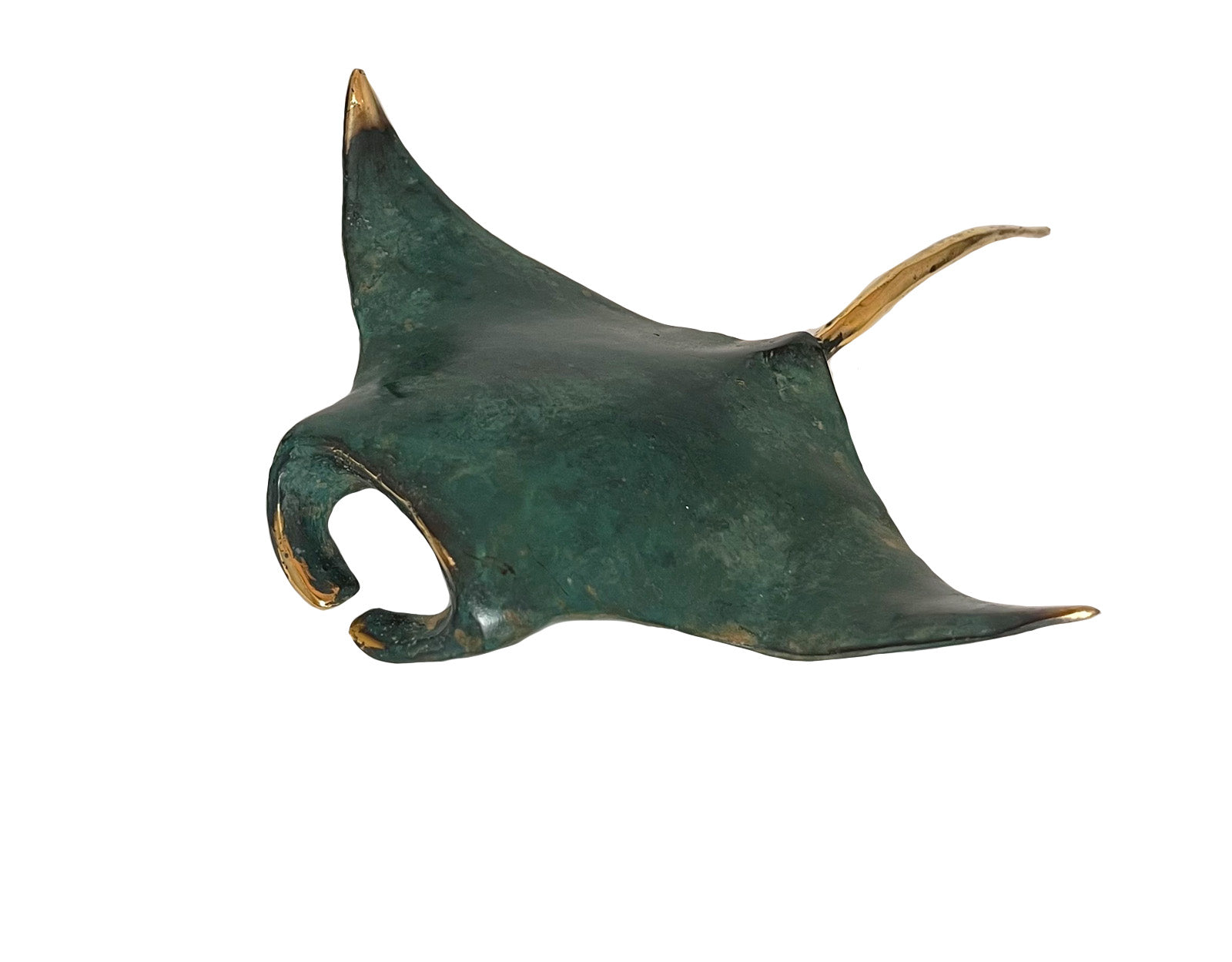 Raie Manta