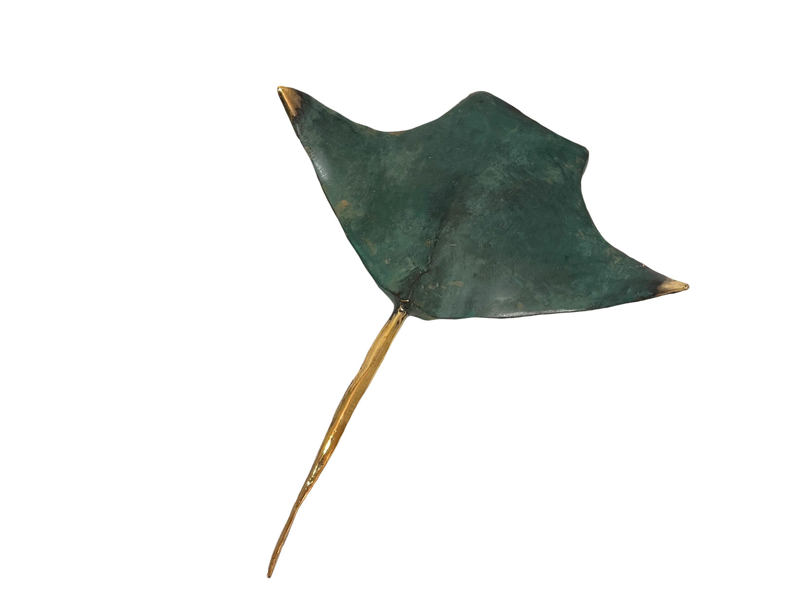 Raie Manta