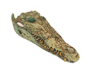 Tête de Crocodile