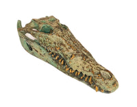 Tête de Crocodile
