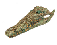 Tête de Crocodile