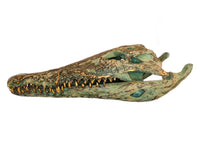 Tête de Crocodile
