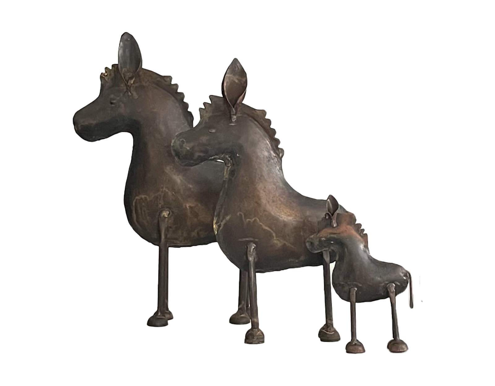 Ânes Noirs
