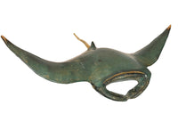 Raie Manta