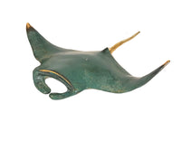 Raie Manta